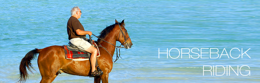 Turks and Caicos Islands Horseback Riding